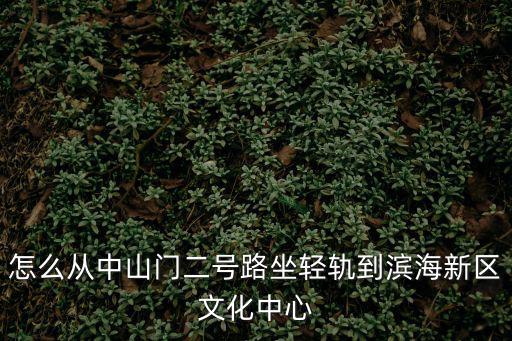 怎么從中山門二號路坐輕軌到濱海新區文化中心