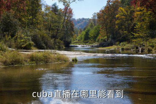 cuba直播，中國大學(xué)生籃球超級聯(lián)賽網(wǎng)上哪里可以看直播