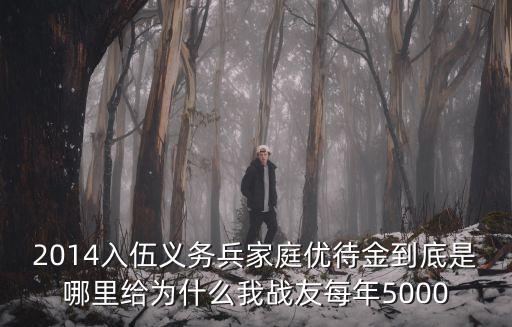 家庭優待金，臨沂市義務兵家庭優待金