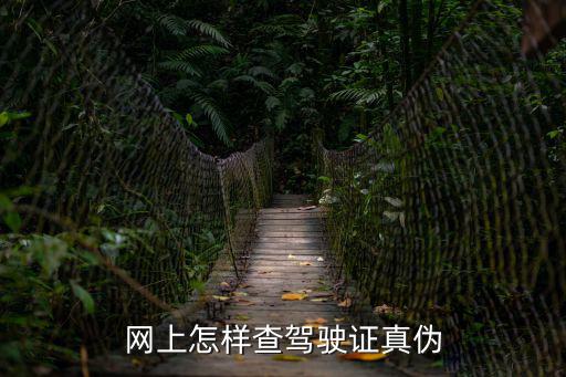 怎么查駕駛證真假，如何查詢駕駛證真?zhèn)?/></a></span><span id=