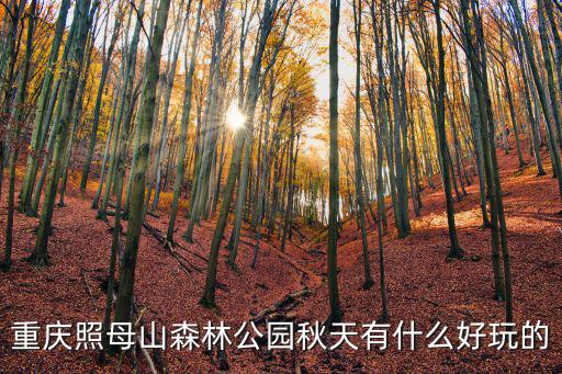 重慶森林公園，重慶有幾座國家森林公園