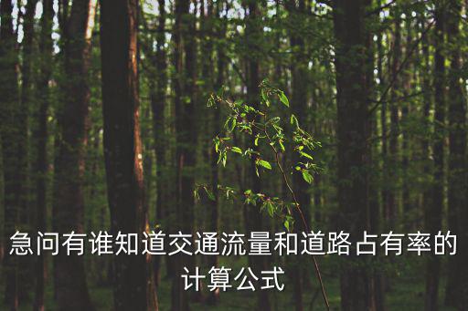 急問有誰知道交通流量和道路占有率的計算公式