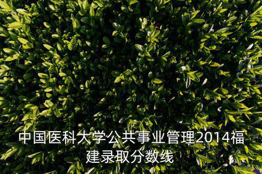 中國醫科大學錄取分數線，中國醫科大最低分數線是多少