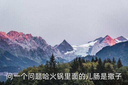 哈兒土火鍋，問一個(gè)問題哈火鍋里面的兒腸是撒子