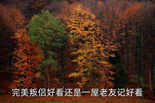 完美叛侶好看還是一屋老友記好看