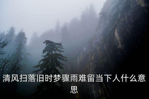 清風(fēng)掃落舊時(shí)夢(mèng)驟雨難留當(dāng)下人什么意思