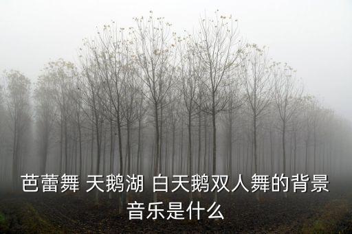 天鵝湖芭蕾舞曲，芭蕾舞 天鵝湖 白天鵝雙人舞的背景音樂是什么