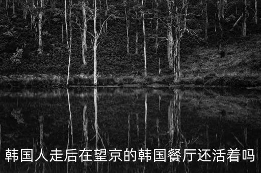 韓國餐廳，韓國是不是有一個餐廳叫嵐