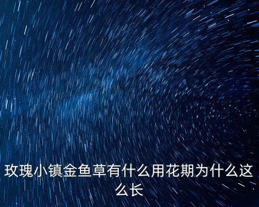金魚草花期，金魚草開花嗎 金魚草什么時候開花