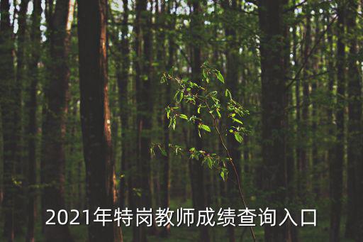 2021年特崗教師成績查詢入口