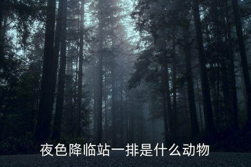 夜色降臨站一排是什么動物