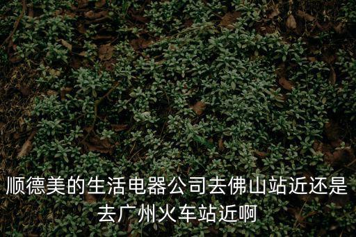順德美的生活電器公司去佛山站近還是去廣州火車站近啊
