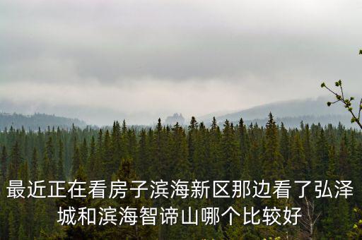 最近正在看房子濱海新區(qū)那邊看了弘澤城和濱海智諦山哪個比較好