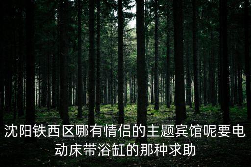 沈陽鐵西區哪有情侶的主題賓館呢要電動床帶浴缸的那種求助