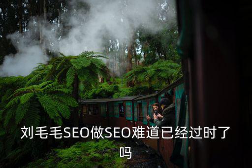 劉毛毛，劉毛毛SEO做SEO難道已經(jīng)過時(shí)了嗎