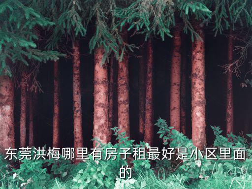 東莞洪梅哪里有房子租最好是小區里面的