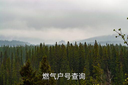 燃氣戶號查詢