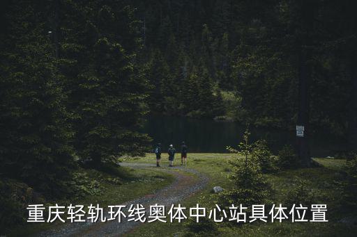 奧體中心站，奧體中心的具體位置