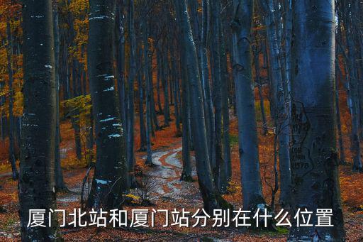 廈門北站和廈門站分別在什么位置