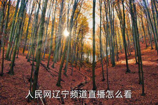 人民網遼寧頻道直播怎么看