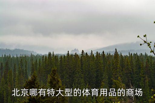北京哪有特大型的體育用品的商場