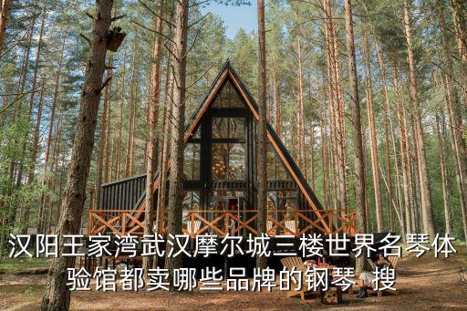 恒億尚品灣，漢陽王家灣武漢摩爾城三樓世界名琴體驗館都賣哪些品牌的鋼琴  搜