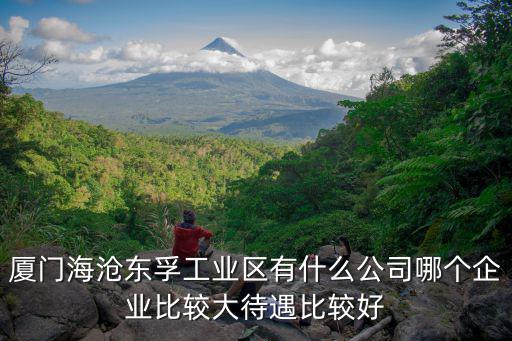 廈門海滄東孚工業(yè)區(qū)有什么公司哪個企業(yè)比較大待遇比較好