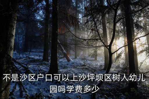不是沙區(qū)戶口可以上沙坪壩區(qū)樹人幼兒園嗎學(xué)費(fèi)多少