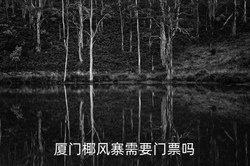 廈門椰風寨需要門票嗎