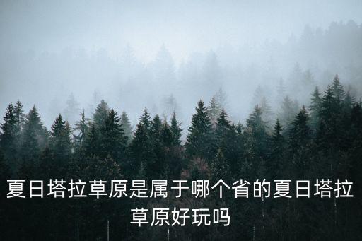 夏日塔拉草原是屬于哪個(gè)省的夏日塔拉草原好玩嗎