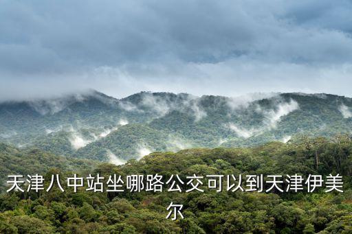 天津伊美爾，天津八中站坐哪路公交可以到天津伊美爾