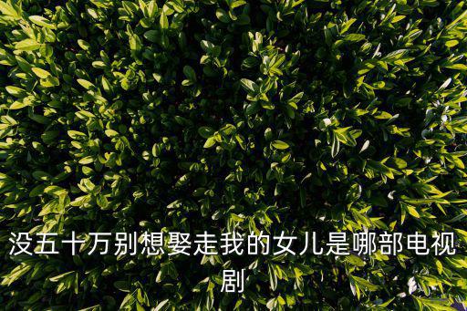 沒五十萬別想娶走我的女兒是哪部電視劇