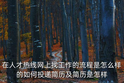 在人才熱線網(wǎng)上找工作的流程是怎么樣的如何投遞簡(jiǎn)歷及簡(jiǎn)歷是怎樣