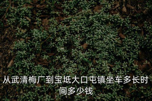 從武清梅廠到寶坻大口屯鎮坐車多長時間多少錢