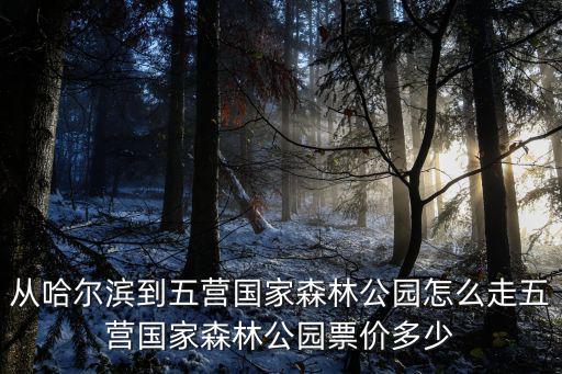 從哈爾濱到五營國家森林公園怎么走五營國家森林公園票價多少