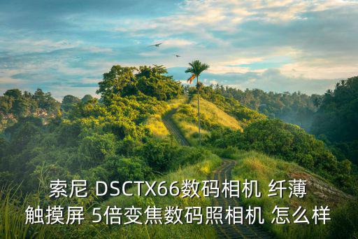 索尼 DSCTX66數碼相機 纖薄觸摸屏 5倍變焦數碼照相機 怎么樣