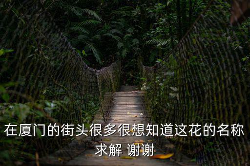 在廈門的街頭很多很想知道這花的名稱求解 謝謝