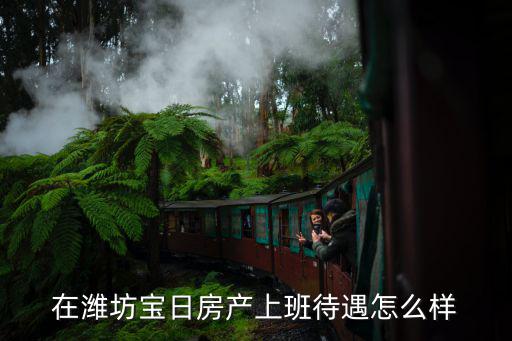 在濰坊寶日房產(chǎn)上班待遇怎么樣