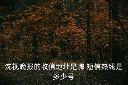 沈視晚報的收信地址是哪 短信熱線是多少號