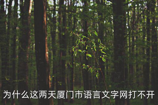 廈門語言文字網，為什么今天的廈門市語言文字網打不開昨天還可以的