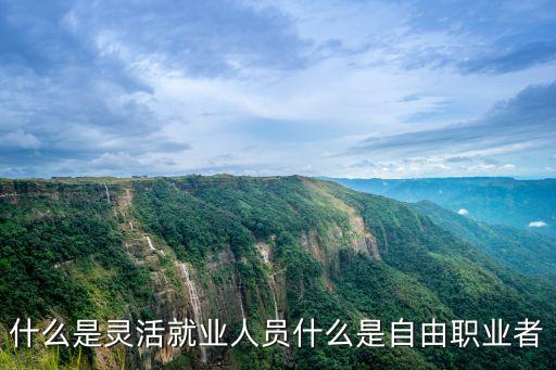 什么是靈活就業人員什么是自由職業者