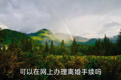 可以在網(wǎng)上辦理離婚手續(xù)嗎