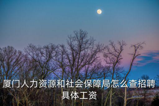 廈門人力資源和社會保障局怎么查招聘具體工資