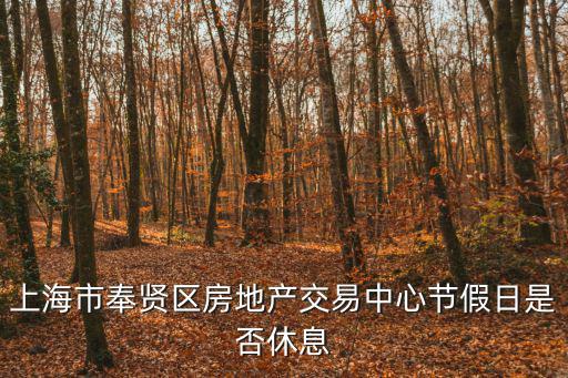 上海市奉賢區房地產交易中心節假日是否休息