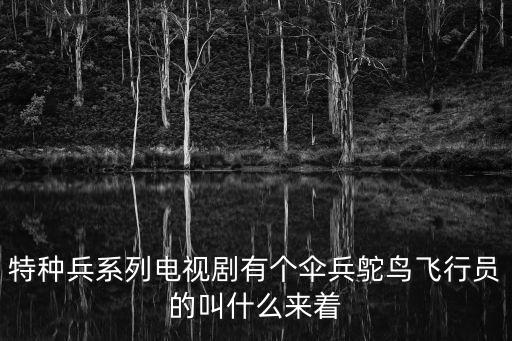 第一傘兵隊(duì)電視劇，特種兵系列電視劇有個(gè)傘兵鴕鳥飛行員的叫什么來著