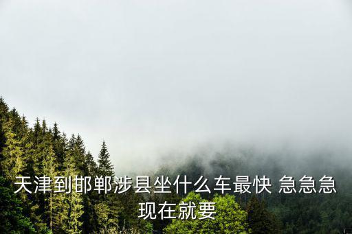 天津到邯鄲高鐵，天津至邯鄲高鐵沿途到站名