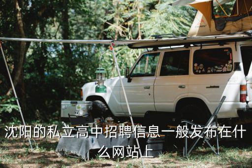 沈陽(yáng)智聯(lián)招聘，沈陽(yáng)的私立高中招聘信息一般發(fā)布在什么網(wǎng)站上