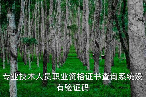 專業技術人員職業資格證書查詢系統沒有驗證碼