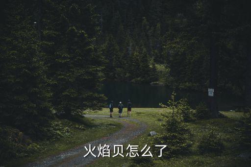 火焰貝，賽爾號(hào)怎樣給火系快速升級(jí)是火焰貝