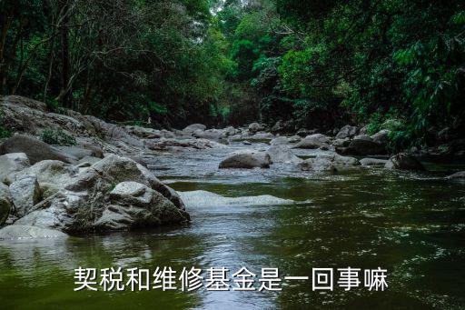 契稅和維修基金是一回事嘛